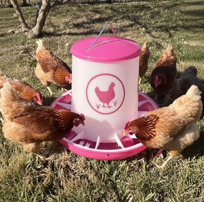 Show full view: Zylina Chicken Feeder, Fuchsia, 25-lb slide 3 of 8