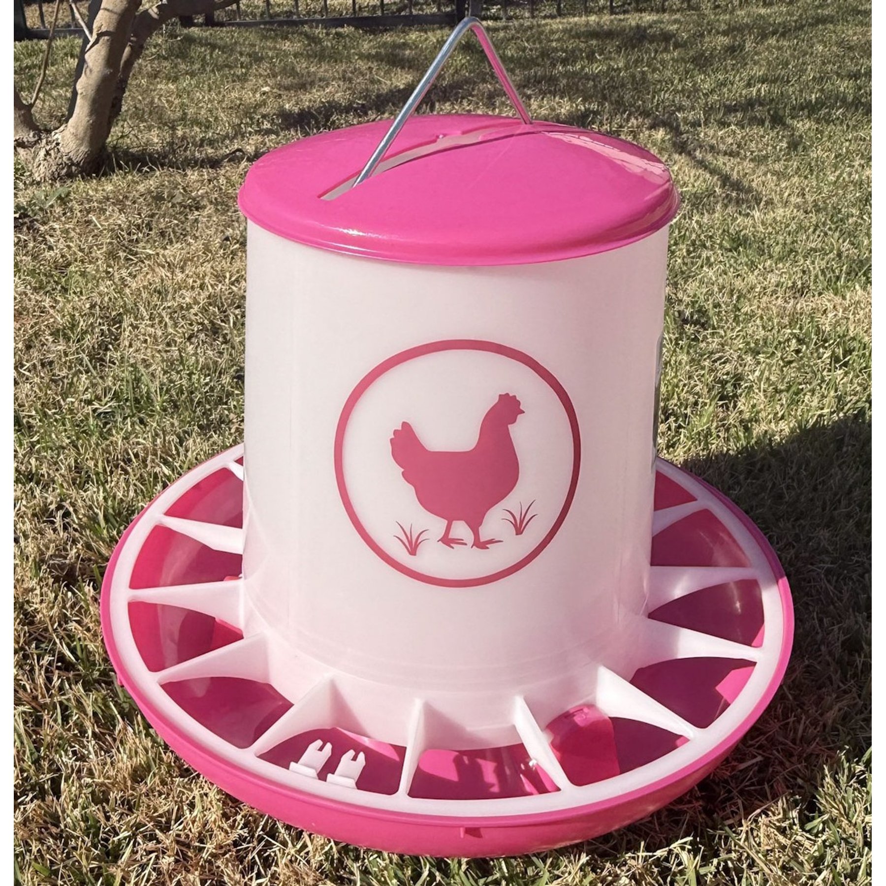 Zylina Chicken Feeder, Fuchsia, 25-lb