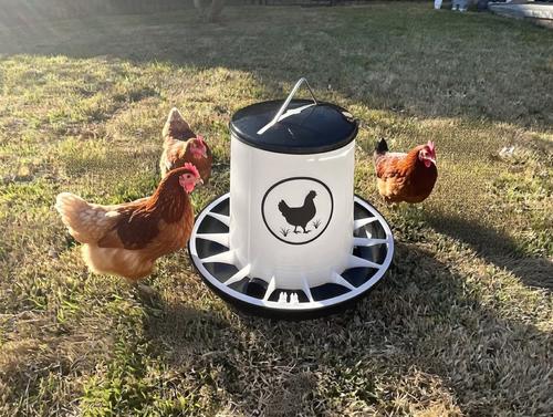 Show full view: Zylina Chicken Feeder, Black, 26-lb slide 3 of 9