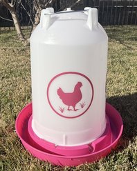 Zylina Chicken Waterer, Fuchsia, 3.7-gal