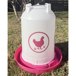Zylina Chicken Waterer, Fuchsia, 3.7-gal