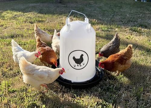 Show full view: Zylina Chicken Waterer, Black, 3.7-gal slide 3 of 8