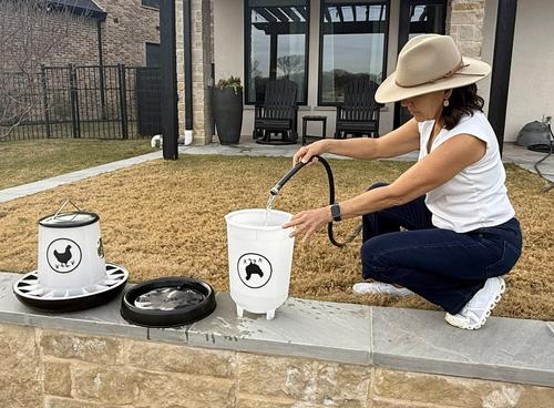 Show full view: Zylina Chicken Waterer, Black, 3.7-gal slide 4 of 8