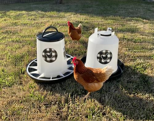 Show full view: Zylina Chicken Waterer & Feeder Combo, Black, 1.5-gal, 13-lb slide 4 of 9