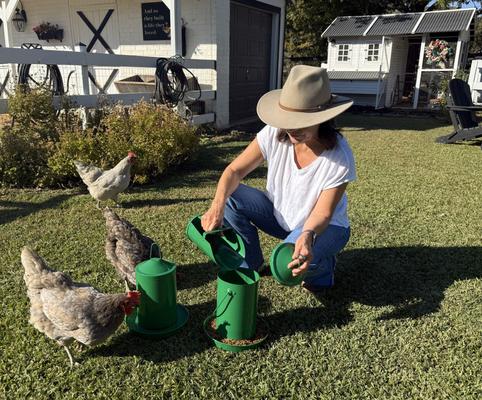 Show full view: Zylina Powder Coated Green Metal Chicken Waterer, Feeder & Scoop Combo Pack, 1-gal, 9-lb slide 7 of 9