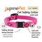Show in main carousel: LupinePet Popular Picks Original Design Puppy Love Breakaway Buckle Safety Cat Collar with Bell, One Size: 8 to 12 in, 1/2-in wide slide 3 of 6