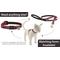 Show in main carousel: LupinePet Popular Picks Original Design El Paso Breakaway Buckle Safety Cat Collar with Bell, One Size: 8 to 12 in, 1/2-in wide slide 5 of 6