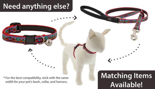 Show full view: LupinePet Popular Picks Original Design El Paso Breakaway Buckle Safety Cat Collar with Bell, One Size: 8 to 12 in, 1/2-in wide slide 5 of 6