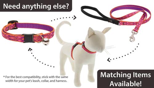 Show full view: LupinePet Popular Picks Original Design Alpen Glow Breakaway Buckle Safety Cat Collar with Bell, One Size: 8 to 12 in, 1/2-in wide slide 5 of 6
