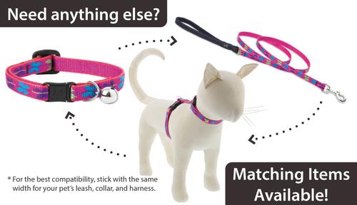 Show full view: LupinePet Nature Inspired Original Design Wing It Breakaway Buckle Safety Cat Collar with Bell, One Size: 8 to 12 in, 1/2-in wide slide 5 of 6