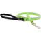 Show in main carousel: LupinePet Reflective Diamonds Small Dog & Cat Padded Handle Leash, Green Diamond, Regular: 4-ft long, 1/2-in wide slide 1 of 7