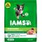 Show in main carousel: Iams Proactive Health Minichunks with Real Chicken & Whole Grains Dry Dog Food, 38.5-lb bag slide 1 of 11