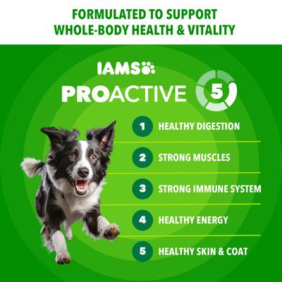 Show full view: Iams Proactive Health Minichunks with Real Chicken & Whole Grains Dry Dog Food, 38.5-lb bag slide 4 of 11