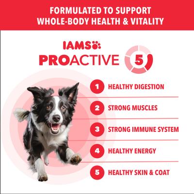 Show full view: Iams Proactive Health Minichunks Adult Lamb & Rice Dry Dog Food, 38.5-lb bag slide 4 of 11