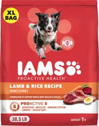 Iams Proactive Health Minichunks Adult Lamb & Rice Dry Dog Food, 38.5-lb bag