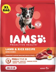 Iams Proactive Health Minichunks Adult Lamb & Rice Dry Dog Food, 38.5-lb bag