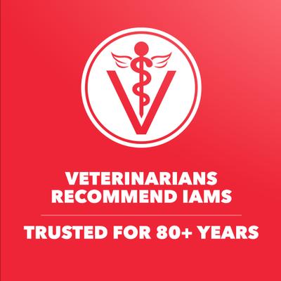 Show full view: Iams Proactive Health Minichunks Adult Lamb & Rice Dry Dog Food, 38.5-lb bag slide 10 of 11