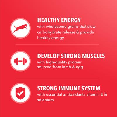 Show full view: Iams Proactive Health Minichunks Adult Lamb & Rice Dry Dog Food, 38.5-lb bag slide 9 of 11