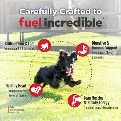 Show full view: Nulo Freestyle Salmon & Red Lentils Small Breed Grain-Free Dry Dog Food, 14-lb bag slide 6 of 12