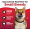 Show in main carousel: Nulo Freestyle Salmon & Red Lentils Small Breed Grain-Free Dry Dog Food, 14-lb bag slide 4 of 11