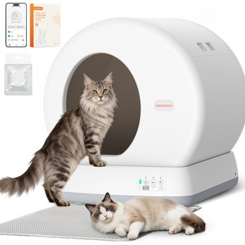 Best Litter To Use With Littermaid PetCove Self-Cleaning Automatic