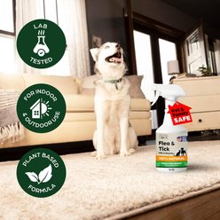 Nature’s Dome Flea & Tick Starter Kit Concentrate Spray for Dogs, 2-fl oz bottle, 3 count slide 2 of 9