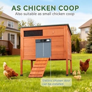 FunXplore Outside Duck Coop with Pull Out Tray, Orange, 41.2 x 27.6 x 39.2-in