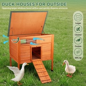 FunXplore Outside Duck Coop with Pull Out Tray, Orange, 41.2 x 27.6 x 39.2-in