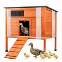 FunXplore Insulated Duck Coop, Orange, 41.2 x 27.6 x 39.2-in