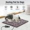 Show in main carousel: Decflow Waterproof Indoor 11 Adjustable Temperature with Timer Dog & Cat Heating Pad with Chew Resistant Cord Paw, Grey, Small: 18 × 18-in slide 7 of 7