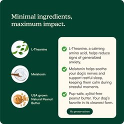 Reggie Anytime Calming Spread Supplement for Dogs, 16-oz jar slide 2 of 6