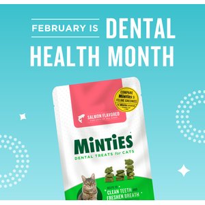 Minties Salmon Flavored Cat Dental Treats, 10-oz bag