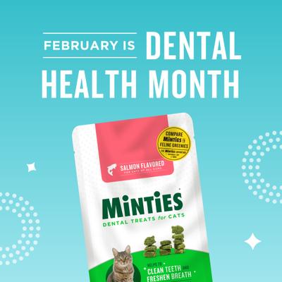 Show full view: Minties Salmon Flavored Cat Dental Treats, 10-oz bag slide 3 of 9