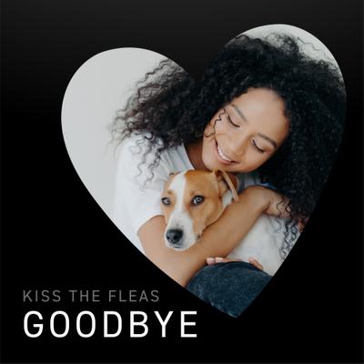 Show full view: Capstar Flea Oral Treatment for Dogs, 2-25 lbs, 6 Tablets slide 2 of 14