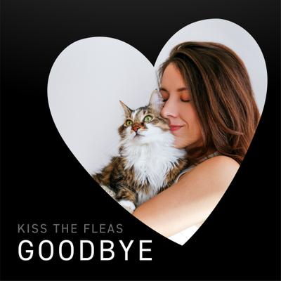 Show full view: Capstar Flea Oral Treatment for Cats, 2-25 lbs, 6 Tablets slide 2 of 14