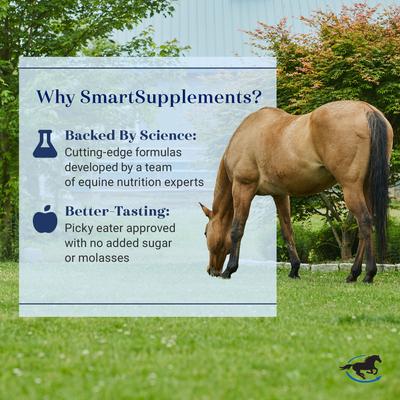 Show full view: SmartPak SmartSupplements SmartFlex Senior Pellet Horse Joint Supplement, 3.7-lb bag slide 6 of 8