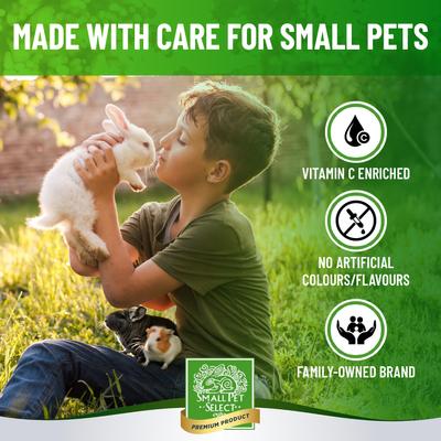 Show full view: Small Pet Select Care Natural High Fiber Timothy Hay Based Vitamin-C Support Treat Supplement for Smallpets, Brown, 4.2-oz bag slide 6 of 8