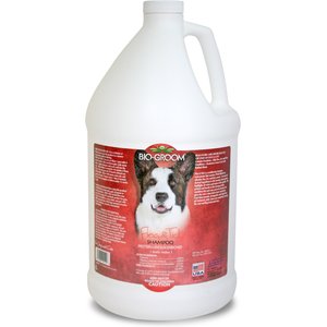 Keep 'Em Pest-Free! Veterinary Formula Clinical Care Flea & Tick Shampoo For Dogs & Cats, 16 Oz