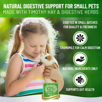 Show full view: Small Pet Select Care Natural High Fiber Timothy Hay Based Digestion Support Treat Supplement for Smallpets, Brown, 4.2-oz bag slide 2 of 8