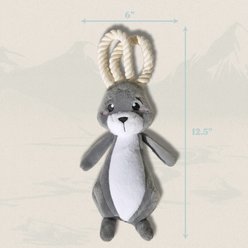 Grrreen Arctic Hare with Rope Squeaky Plush Dog Toy, Medium slide 2 of 7
