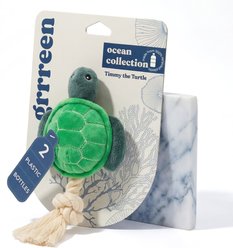 Grrreen Rope Turtle Squeaky Plush Dog Toy, Small