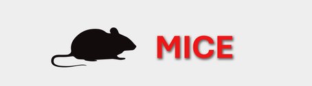 Frozen Mice