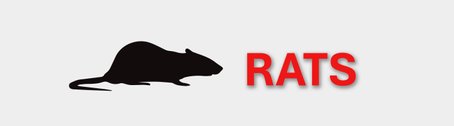 Frozen Rats