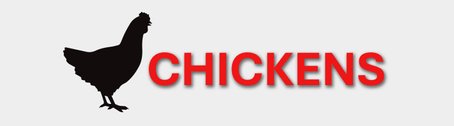 Frozen Chickens