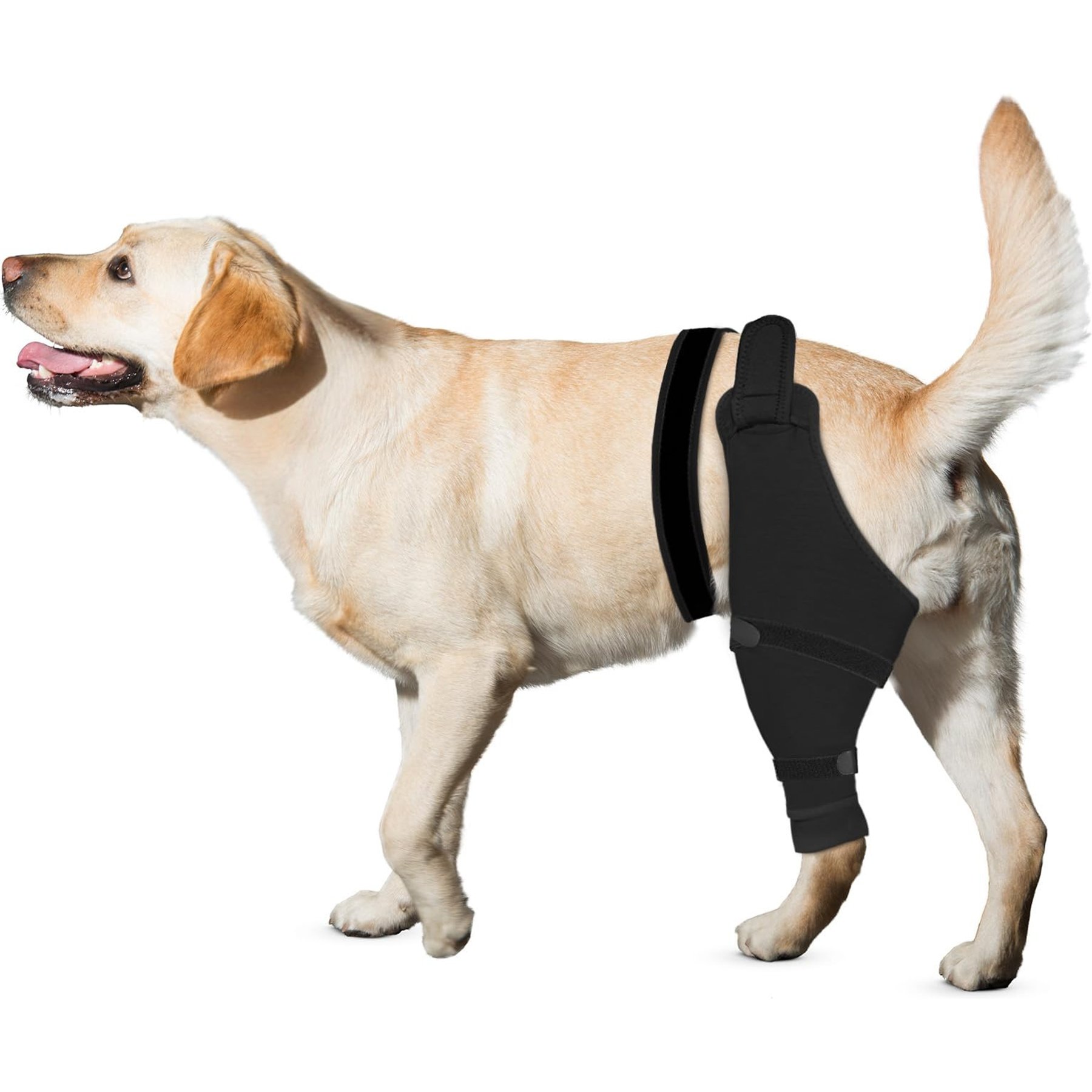 Supet Dog Rear Left Leg Recovery Sleeve for Dogs, XX-Large