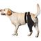 Show in main carousel: Supet Dog Rear Left Leg Recovery Sleeve for Dogs, X-Small slide 1 of 9