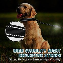 BARKBAY Adventure Nylon with Soft Neoprene Lining & Reflective Trim Dog Collar & Leash Set, Black, Small: 10 to 13.5-in neck, 3/5-in wide slide 2 of 9