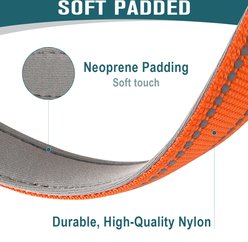 BARKBAY Adventure Nylon with Soft Neoprene Lining & Reflective Trim Dog Collar & Leash Set, Orange, Large: 18 to 25-in neck, 1-in wide slide 2 of 9