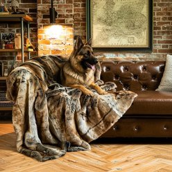HappyCare Textiles Elegant Faux Fur Family Throw with Your Pet Members Dog Blanket, Brown, 60 x 80-in