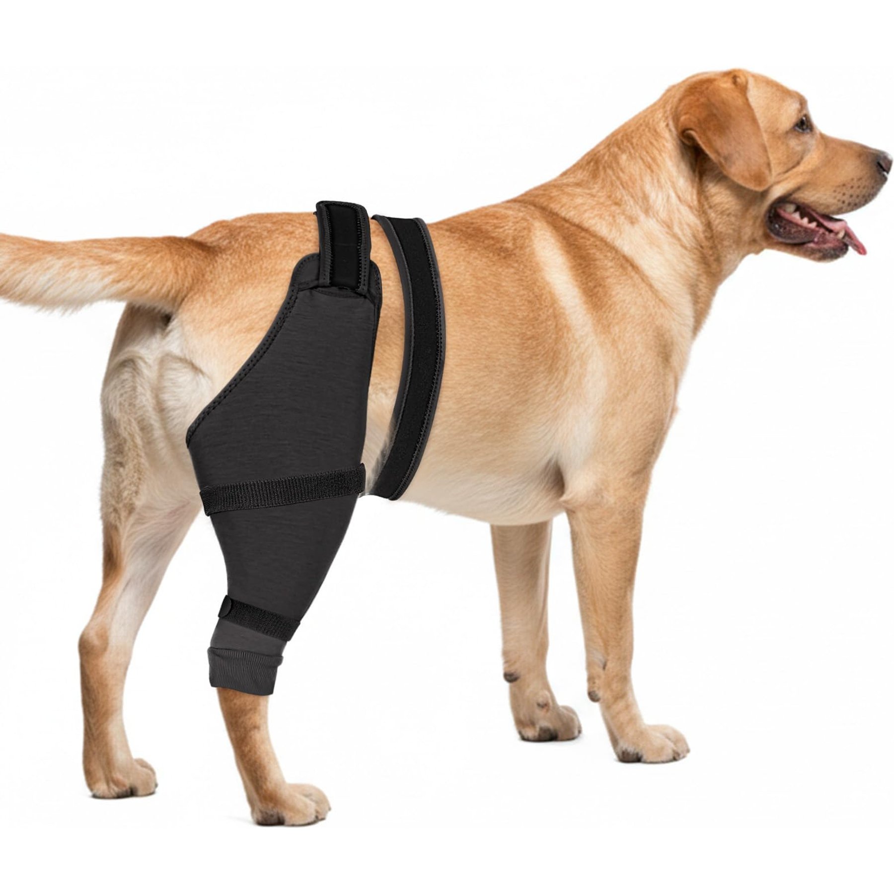 Supet Dog Rear Right Leg Recovery Sleeve for Dogs, XX-Large